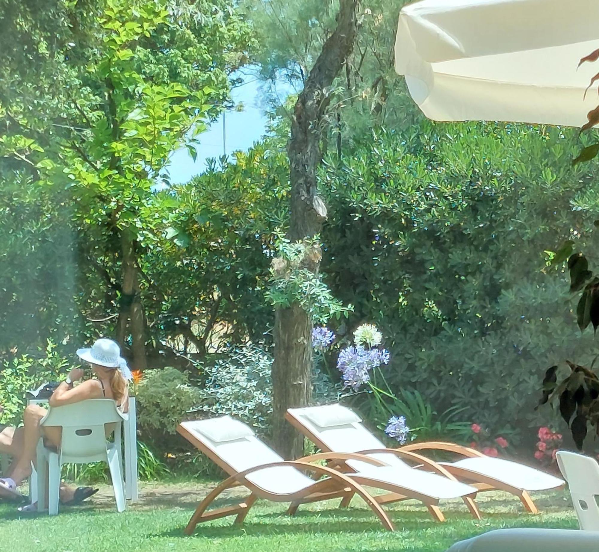 Hotel Astor B&B Lido di Classe Exterior foto